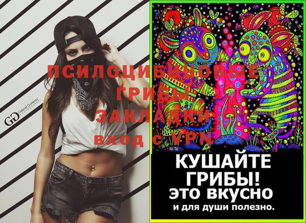 первитин Каменногорск