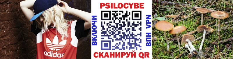 Псилоцибиновые грибы ЛСД  Купить  Кыштым 